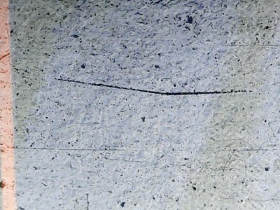 SN36384