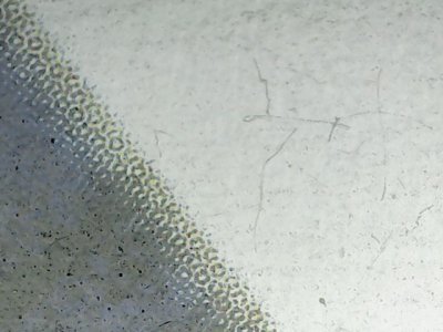 SN36384