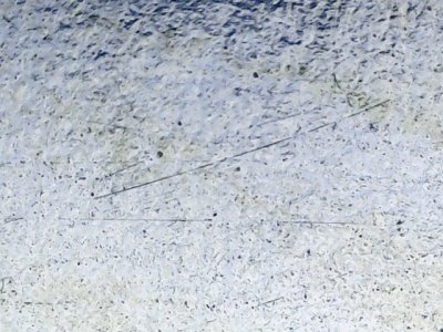 SN36384