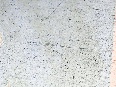 SN36384