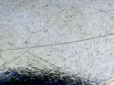 SN36384