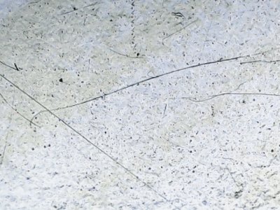 SN36384