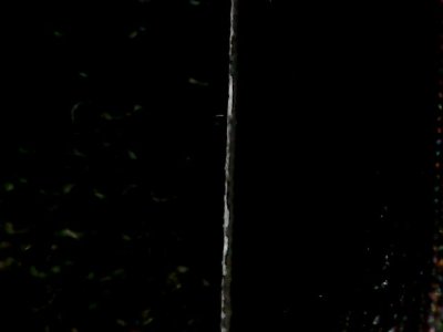SN35224
