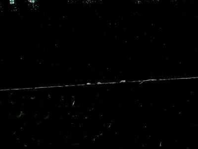 SN35228