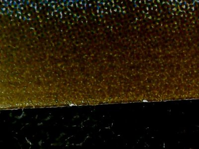 SN35231