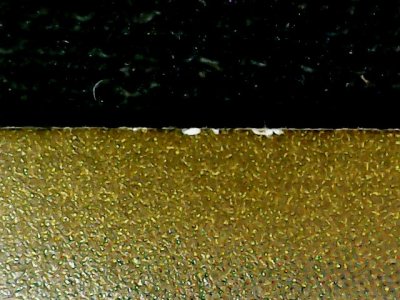 SN35231