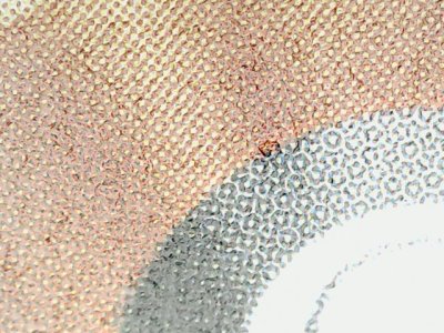 SN35231