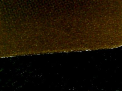 SN35232