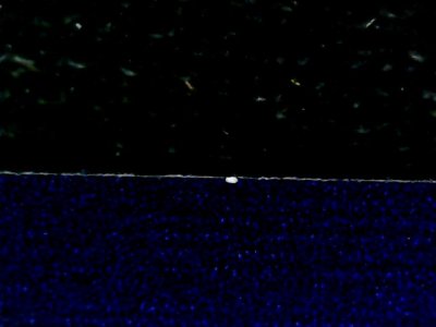SN35239