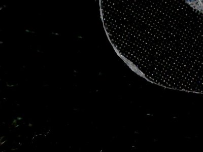 SN35248