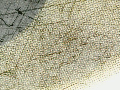 SN35257