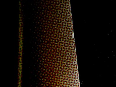SN35303