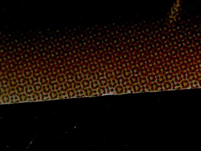 SN35304