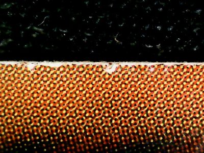 SN35318