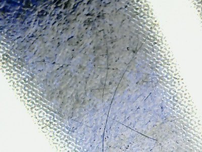 SN35329