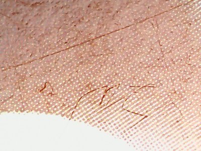 SN35329