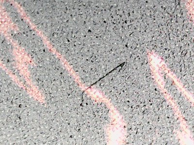 SN35333