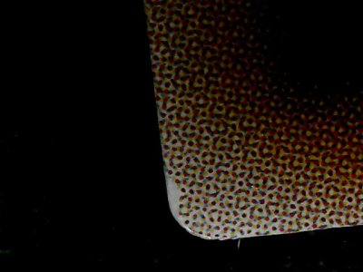 SN35335