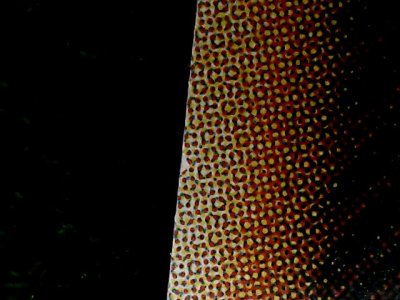 SN35337