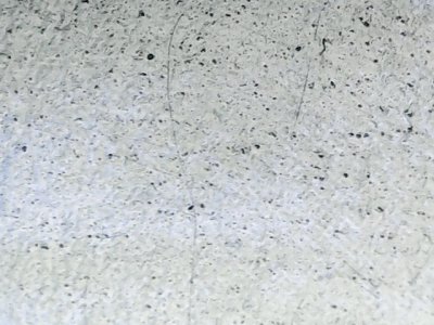 SN35338