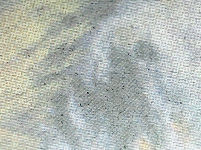 SN35339