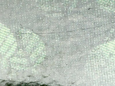 SN35561