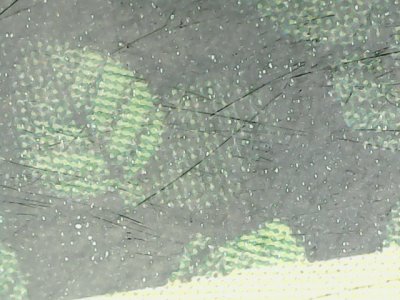 SN35561