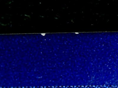 SN35561