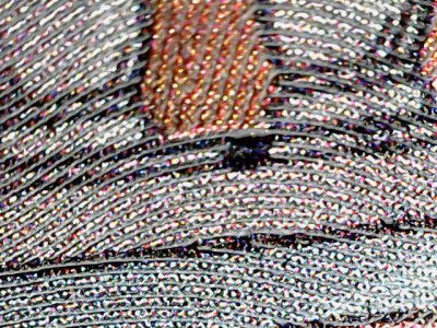 SN35562
