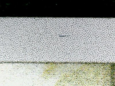 SN35563