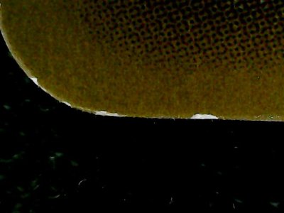 SN35564