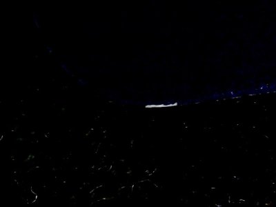 SN35596