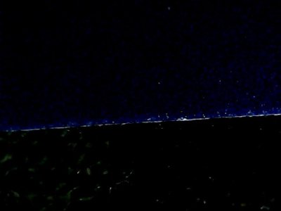 SN35598