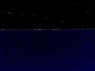 SN35616