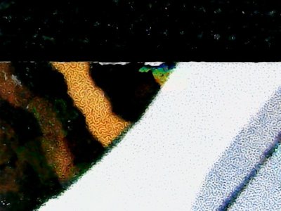 SN35811