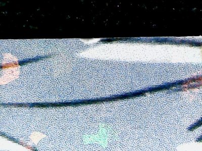 SN35811