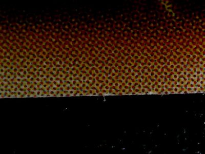 SN35815