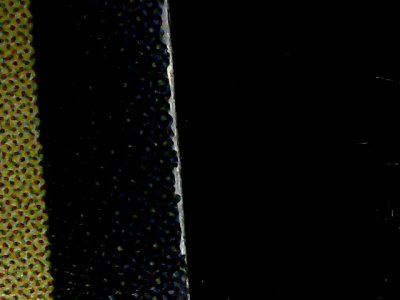 SN35816