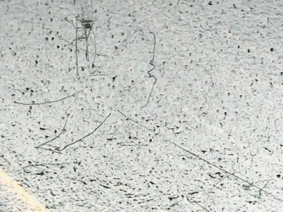 SN35816