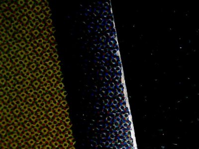 SN35819