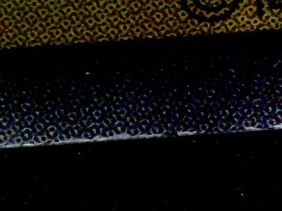 SN35819