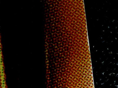 SN35819