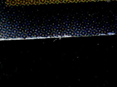 SN35820