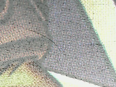 SN35821