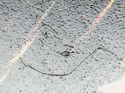 SN35821