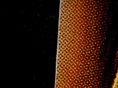 SN35822