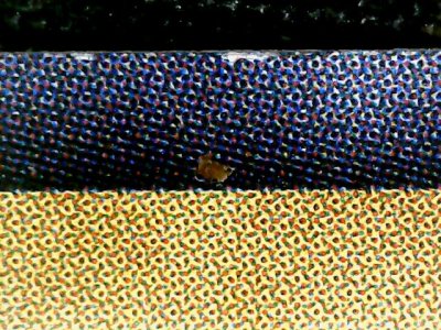 SN35824