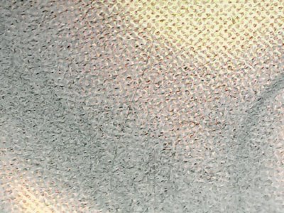 SN35824