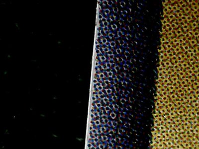 SN35826