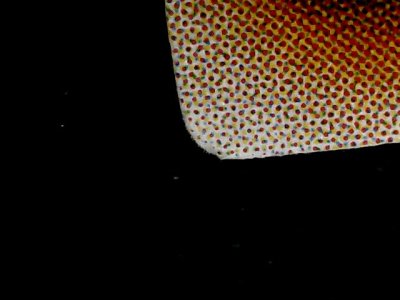 SN35829